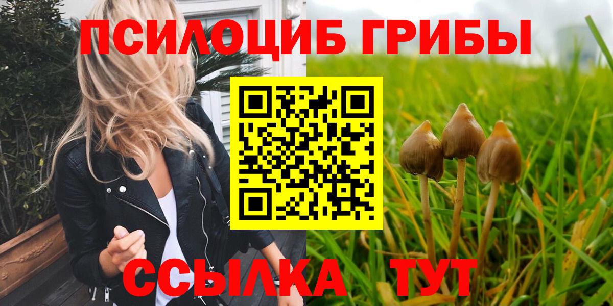 Королёв  Галлюциногенные грибы прущие грибы  Вход с VPN 