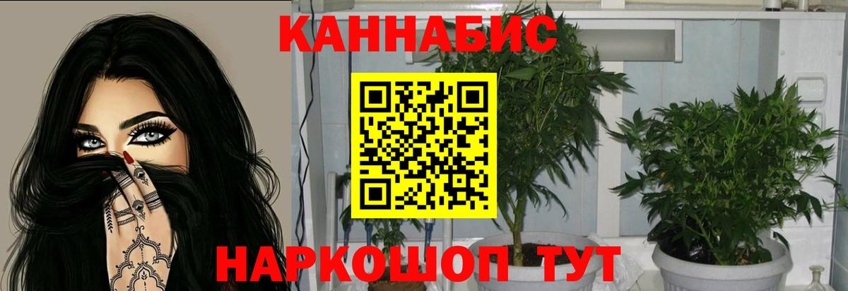 Королёв  Шишки марихуана Ganja  Марихуана конопля  Вход с VPN 